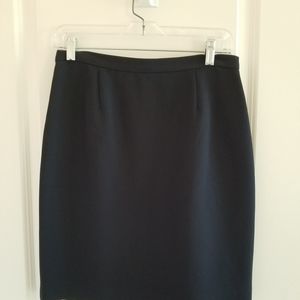 Petite Sophisticate Navy Blue Woman's Skirt